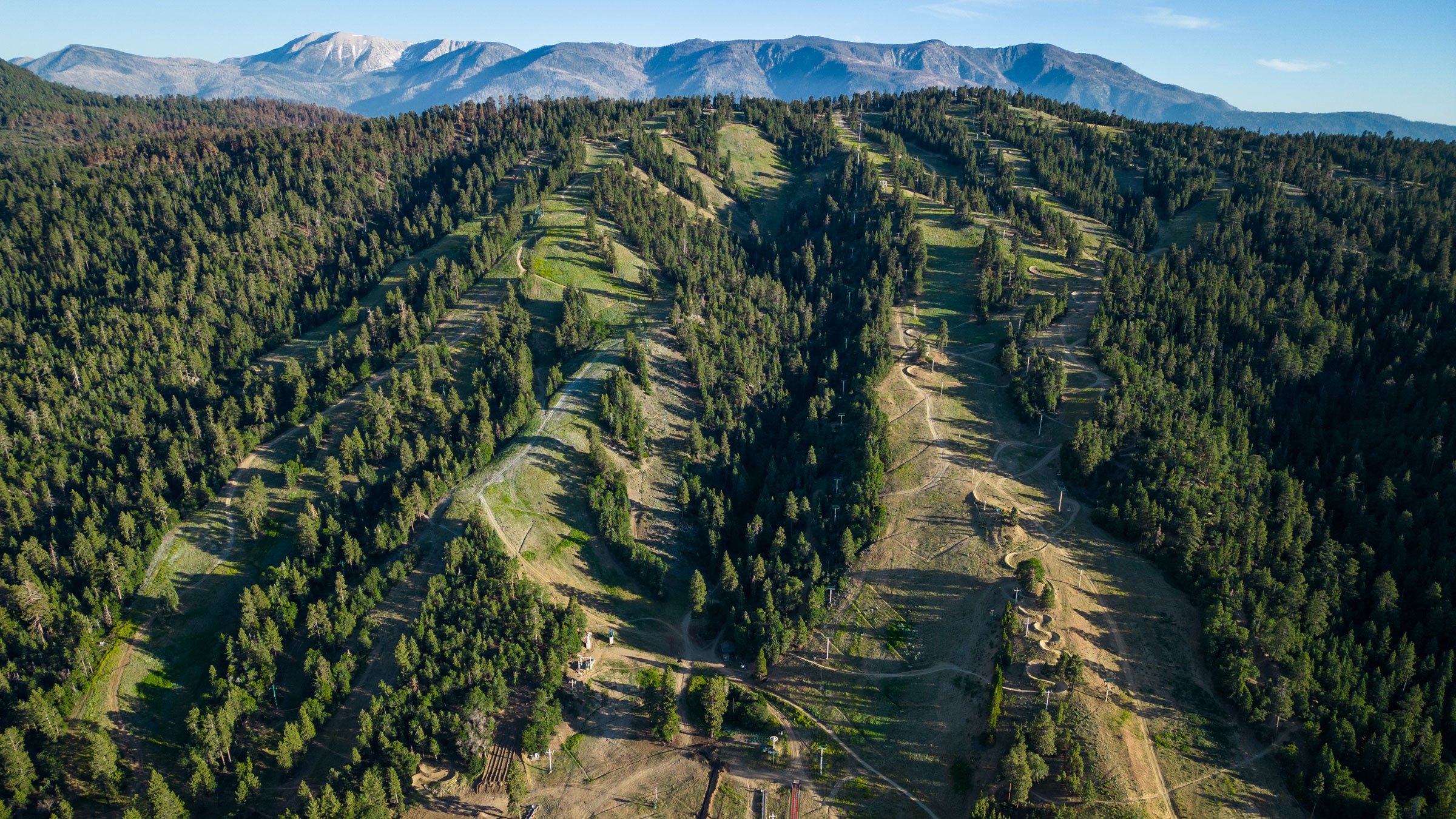 Summertime drone image of Snow Summit with chairlifts to the top of the mountain, forest trees, and background mountain range in view.